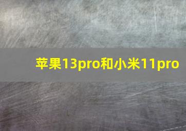 苹果13pro和小米11pro